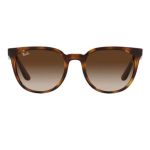 Ray-Ban RB4381 Sunglasses 0RB4381I 710/13 53-Tudora